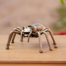 Load image into Gallery viewer, Rustic Tarantula
