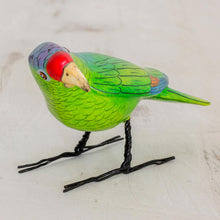 Load image into Gallery viewer, LilacCrowned Parrot