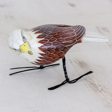 Load image into Gallery viewer, Inquisitive Bald Eagle
