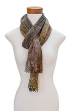 Load image into Gallery viewer, Earth-Tone Rayon Chenille Scarf from Guatemala - Paths | NOVICA