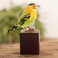 Load image into Gallery viewer, Wilsons Warbler