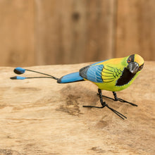 Load image into Gallery viewer, TurquoiseBrowed Motmot