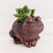 Load image into Gallery viewer, Happy Frog
