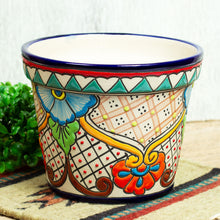 Load image into Gallery viewer, Hidalgo Garden