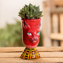 Load image into Gallery viewer, Top Cat in Red