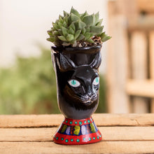 Load image into Gallery viewer, Top Cat in Black
