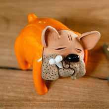 Load image into Gallery viewer, Orange Bulldog
