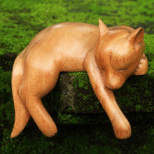 Load image into Gallery viewer, Sleepy Kintamani Dog