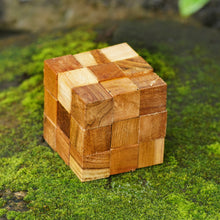 Load image into Gallery viewer, Snake Cube