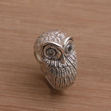 Load image into Gallery viewer, Gazing Owl