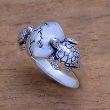 Load image into Gallery viewer, Turtle Romance