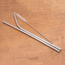 Load image into Gallery viewer, Stainless Steel Drinking Straws with Storage Pouch - Hydrate | NOVICA