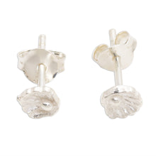 Load image into Gallery viewer, Sterling Silver Shell Motif Post Earrings - Scallop Shell | NOVICA