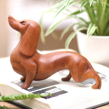 Load image into Gallery viewer, Dachshund Puppy
