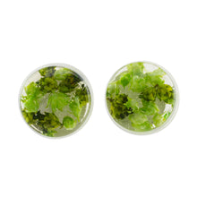 Load image into Gallery viewer, Green Flower in Clear Resin Button Earrings from Costa Rica - Eternal Bouquet in Green | NOVICA