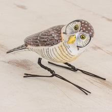 Load image into Gallery viewer, Hawk Owl