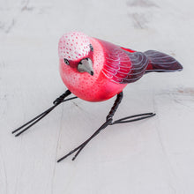 Load image into Gallery viewer, Pink Warbler