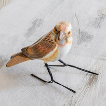 Load image into Gallery viewer, Rustic Bunting