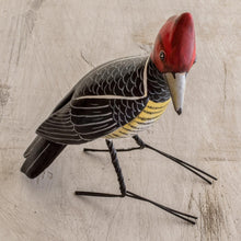 Load image into Gallery viewer, Helmeted Woodpecker