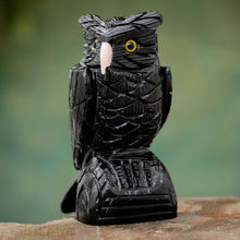 Load image into Gallery viewer, Owl Guardian