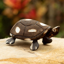 Load image into Gallery viewer, Handmade Wooden Tortoise from the Peruvian Amazon - Rainforest Tortoise | NOVICA