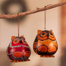 Load image into Gallery viewer, Feathers of Wisdom