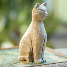 Load image into Gallery viewer, Cafe Cat