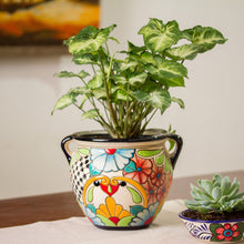 Load image into Gallery viewer, Talavera Majesty