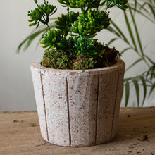 Load image into Gallery viewer, Verdant Container