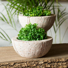 Load image into Gallery viewer, Verdant Bowls