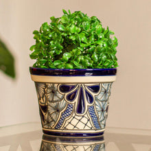 Load image into Gallery viewer, Cobalt Garden