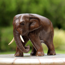 Load image into Gallery viewer, Relaxed Elephant