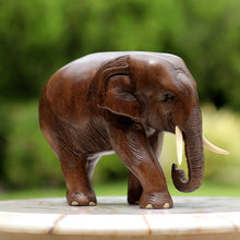Load image into Gallery viewer, Hand Made Wood Elephant Sculpture from Thailand - Relaxed Elephant | NOVICA