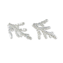 Load image into Gallery viewer, Silver Plated Natural Cypress Leaf Earrings from Thailand - Natural Needles | NOVICA