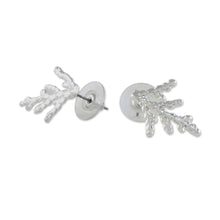 Load image into Gallery viewer, Silver Plated Natural Cypress Leaf Earrings from Thailand - Natural Needles | NOVICA