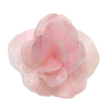 Load image into Gallery viewer, Thai Resin Coated Natural Pink Hydrangea Bloom Brooch Pin - Pale Pink Hydrangea | NOVICA