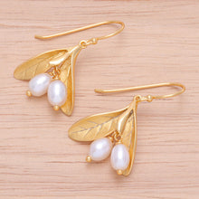 Load image into Gallery viewer, Gold-Plated Cultured Pearl Dangle Earrings - Bearing Fruit | NOVICA