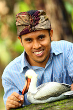 Load image into Gallery viewer, Indonesian Wood Bird Sculpture - Posing Pintail Duck | NOVICA
