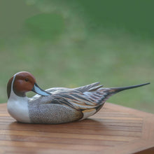 Load image into Gallery viewer, Posing Pintail Duck
