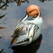 Load image into Gallery viewer, Indonesian Wood Bird Sculpture - Posing Pintail Duck | NOVICA
