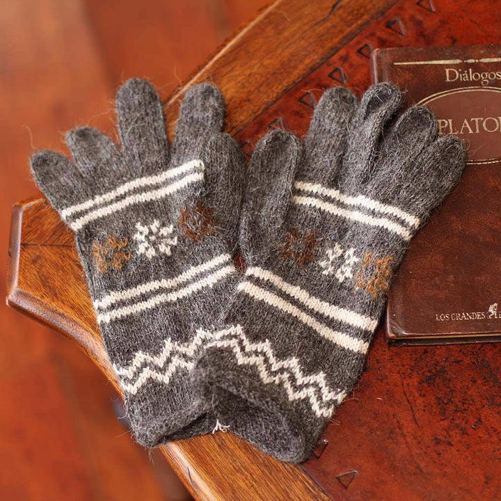 Alpaca blend gloves - Gray Clouds | NOVICA