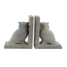 Load image into Gallery viewer, Hand Carved Soapstone Owl Bookends (Pair) - Wisdom | NOVICA
