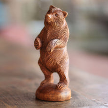 Load image into Gallery viewer, Inquisitive Brown Bear
