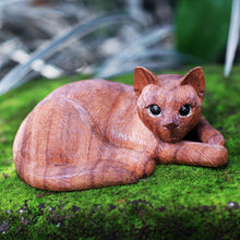 Load image into Gallery viewer, Sweet Ginger Tabby
