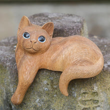 Load image into Gallery viewer, Watchful Long Haired Cat

