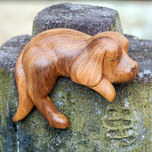 Load image into Gallery viewer, Sleepy Cocker Spaniel
