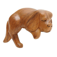 Load image into Gallery viewer, Sleeping Cocker Spaniel Puppy Sculpture Carved in Wood - Sleepy Cocker Spaniel | NOVICA

