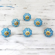 Load image into Gallery viewer, Floral Beauties in Sky Blue
