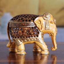 Load image into Gallery viewer, Elephant Magnificence
