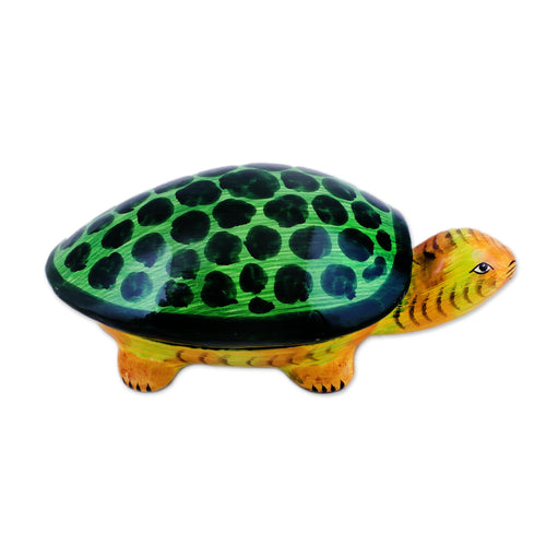 Joyful Turtle